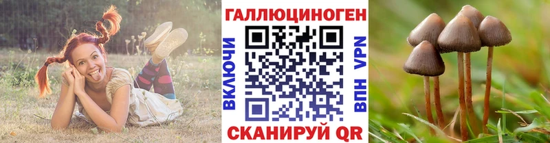 блэк спрут ссылка  Фатеж  Галлюциногенные грибы Cubensis 